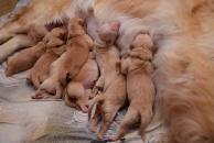 e8024c7d8d0dab90fc58ebce56012afc_194