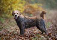 e80be93be59229894ce4304bb3b0fa04_190