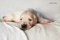 e811871cf30c5880f4681f6fc5008592_195