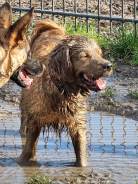 e8536fc8077e4ce6039fe21fdace1d83_138x184_fill