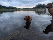 e86628beafb97d997ef310e547a74139_183