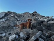 e8e3743b8551d644fea33e7e194ed53b_184x138_fill