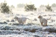 e8ec19e103ae2c1f6c696e5b0f00d8fa_195