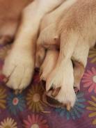 e8f41cc1a2db2f3438827518d2bc7a1a_138x184_fill