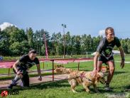 e8f9b7835cf5b7de1573587e8a61a608_183