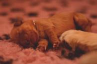 e90c4c63771e96865ffca24b2a1c72e3_195x130_fill