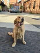 ea1e8103f4f692c66c7f87b8121113e4_138x184