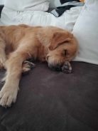 eab98210677071e5271b6a4b1209dc29_138x184_fill