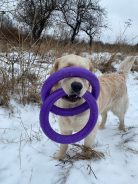 eac9c3a327ca3752b028be85698e3685_138x184_fill