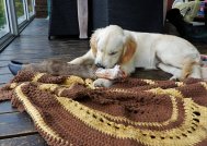 eb3290c170800b3c6217622c43fe2864_189