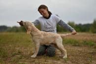 eb4e3a294b1b3171ad41e5b80f479a73_195