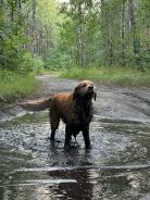 eb543ce802e14ba7dc5511baf01bfdf0_138x184_fill