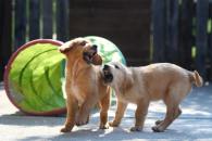 eb95ce0e45f2e456de4891ac64333fc7_195