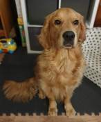 eba18a4a2184e58ed280460c7c94c735_146x177