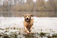 ebe1635daf926c9cbf70265dbe753d52_195