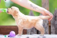 ec7d6e75dff253445ab2abe3c9f7d717_195x130_fill