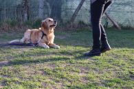 ec85d344eda8b6fa4495ab4e6dbfa891_195x130_fill