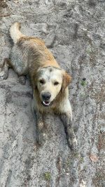 ecd529a5feb814e97d0a8edec2f22432_150x266