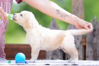 ecd8cca20c75a8bb690a01c4649005f8_195