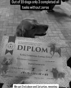 ecec86858b2fa6b940074b6854723eab_144x180_fill