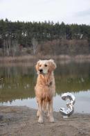 ed5467ee893da7a1727f79d4d30160a0_130x196