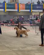 edb891ae8c58417b9073506ef6a2d05c_144x178