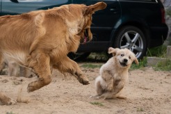 edc96a8a79ae084108bddb417f49ba8e_246