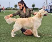 edd36ca45bbf0c051cc5aabf4395b2eb_179