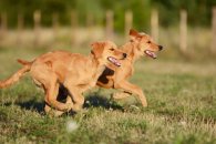 edd7b574e744b470f20d16b864c3a788_195