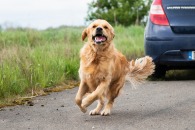 ee1530bc85804058f236886a3ee05df9_195