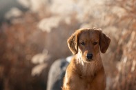 ee19dc0bbf5d98d85b4beb89f8820aa9_197