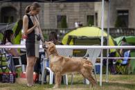 ee34a6871bc5ee3054f691851bc95cb2_195