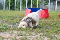 ee3ba7c2928cbe742dc739d11d8d71c4_195