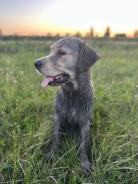 ee6955f17e682d2a1745904498efc446_138x184_fill