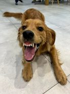 ee9f0d6f899c175e44ff21665763c3c4_138x184_fill