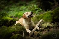 eecf2f01000e0f12590000caa696b7f8_194