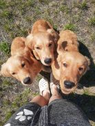 eecfff4297f4ca7c46dc363952eae424_138x184_fill