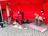 eed41a723d270c7c2b7b1fe99f489ed0_184x138_fill