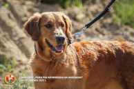 ef4beaff4717eb2432b52c42500c3343_194