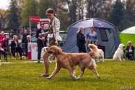 ef5c682b19389454ce02fac90199b2e9_195