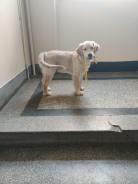 ef93ac4c8ac8a5d74a78caa026b24016_138x184