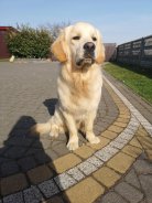 efcb72859979d167bad6a3fee2d3d65b_138x184_fill