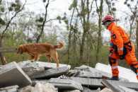 eff50b5a8370a73f8bb906f9a9b841f1_195