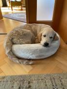 f128e7a121ae3b708152635586974d10_138x184_fill