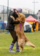 f13d6cd098d95ee51345acb3b63eaf93_136x190