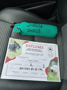 f17d763b4b43131062159c7542cc1bbd_138x183