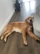 f1caf61a1f395b38ad408092fbdf4f2c_138x184_fill