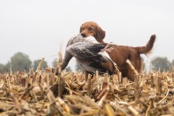 f1ce864e3b7400b8ab78444e07078920_195