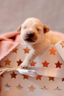 f1db986ce8e45836a61f262db80ecb58_130x195