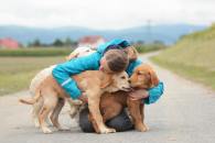 f2abfa3ce536fb23d10ba6fa5428739b_195x130_fill